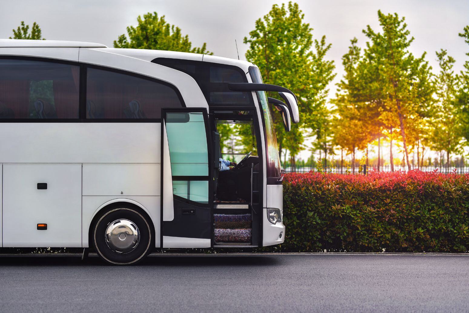 Bus-1